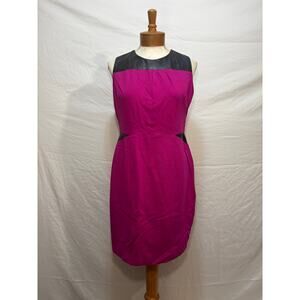 Cynthia Steffe Color Block Sleeveless Sheath Dress (Size 8)